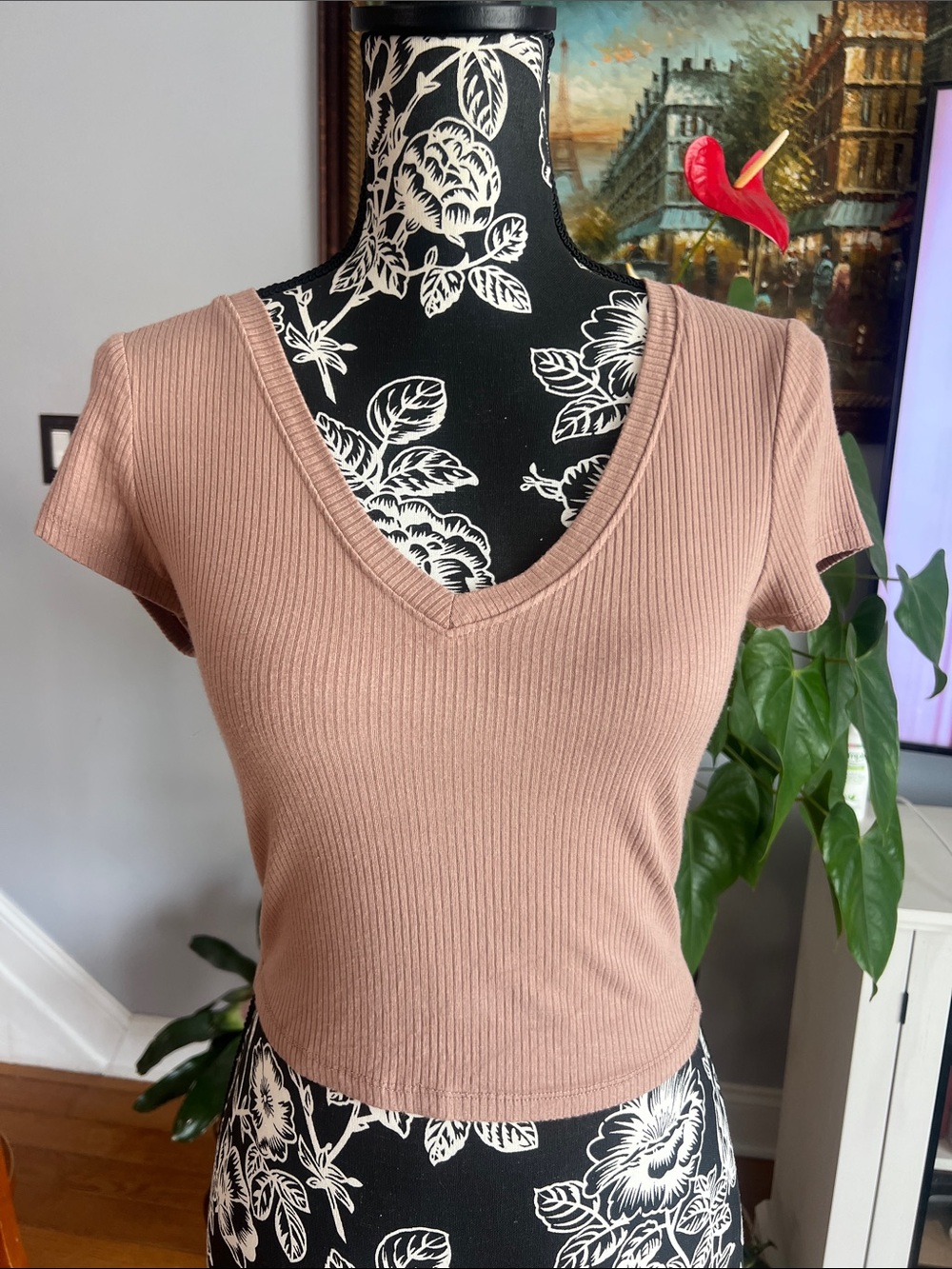 Ribbed V-Neck Short Sleeve Top